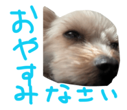 845198351