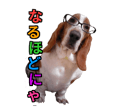 845198846