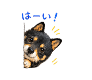 845200549