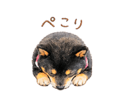 845200550