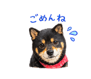 845200552