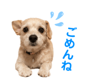 845200630