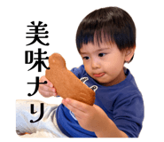 845201803