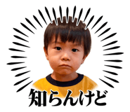 845201811