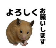 845201891