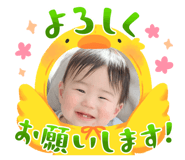 845202050