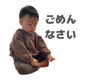 845202054