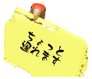 845202202