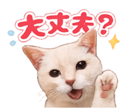 845202219