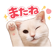 845202222