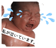 845202385
