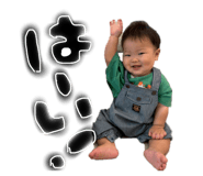 845202455