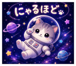 845203017