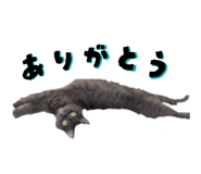 845203041