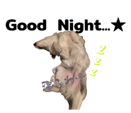 845203189