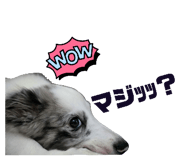 845203192