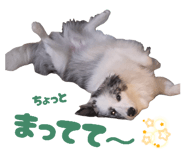 845203199