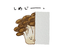 845204112