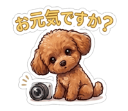 845204240