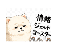 845204572