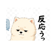 845204574