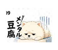 845204577