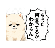 845204584