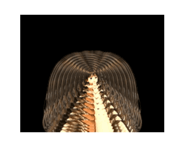 845204918