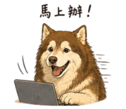 845205294