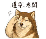 845205295