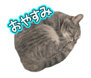 845205609