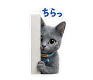 845206046