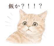 845206218