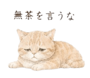 845206220