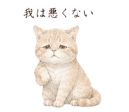 845206223