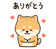 845206379