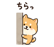 845206383