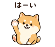 845206385