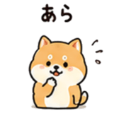 845206394
