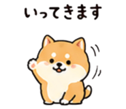 845206398