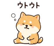 845206403