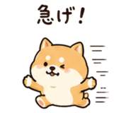 845206410