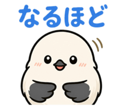 845206776