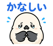 845206779