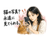 845206833