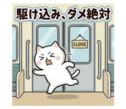 845206934