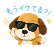 845207013