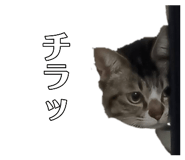 845207068