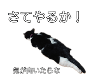 845207069