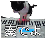 845207070